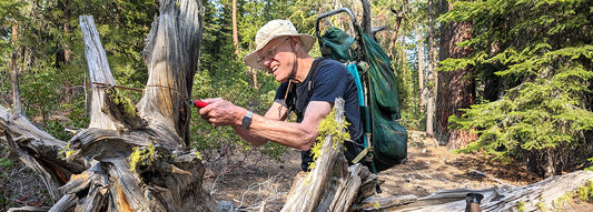 Bob's wildwood blog