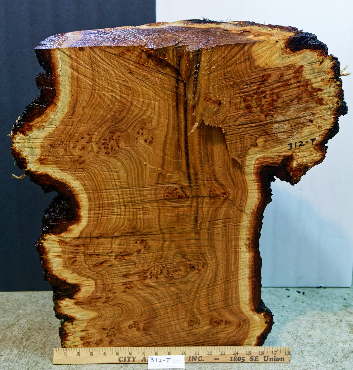 Colorful burl wood floor or tabletop sculpture, brown yellow maroon, live edge bark, 24.5 inch Tall x 5 D x 20 W, rich grain figuring, 312-T