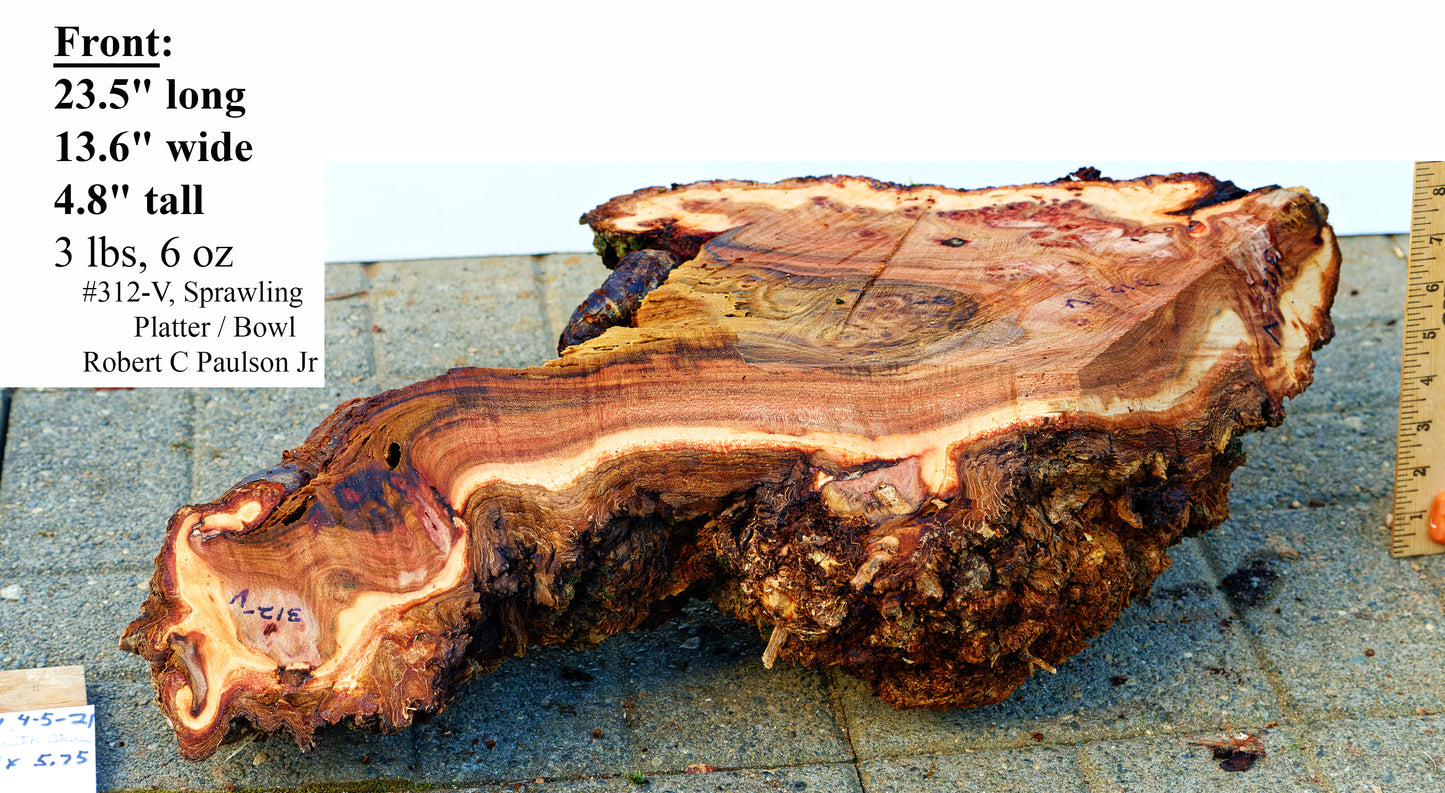 elongated natural brown gold maroon wood burl bowl, Black Elm 23.5" long , Wabi Sabi, live edge, irregular, food safe, rustic refined, 312-V