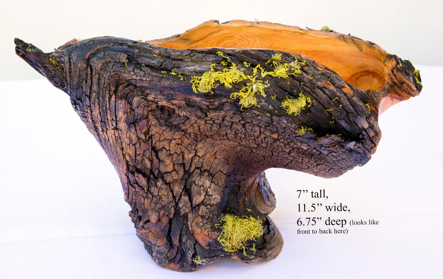 Natural rustic asymmetric wood bowl sculpture, old growth Ponderosa pine, live edge bark, 7" tall, 11.5 long, 6.75 wide, decorative, 299-a