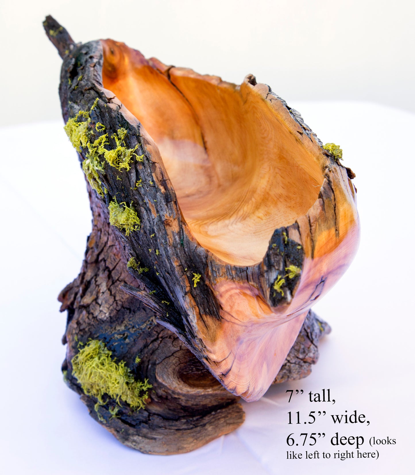Natural rustic asymmetric wood bowl sculpture, old growth Ponderosa pine, live edge bark, 7" tall, 11.5 long, 6.75 wide, decorative, 299-a