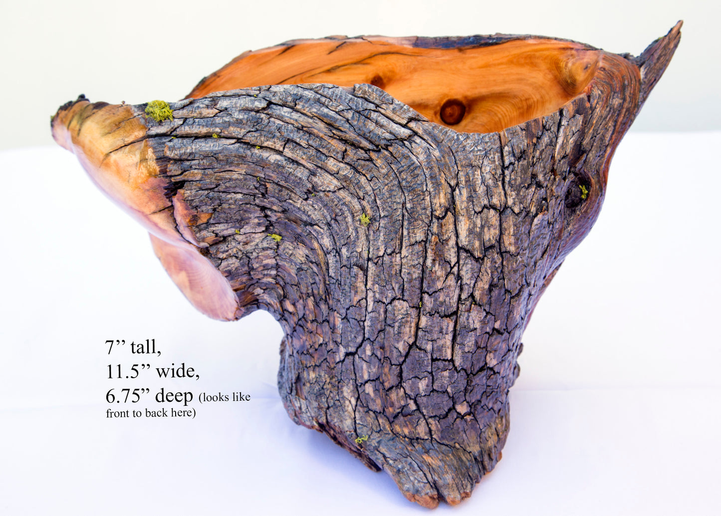 Natural rustic asymmetric wood bowl sculpture, old growth Ponderosa pine, live edge bark, 7" tall, 11.5 long, 6.75 wide, decorative, 299-a