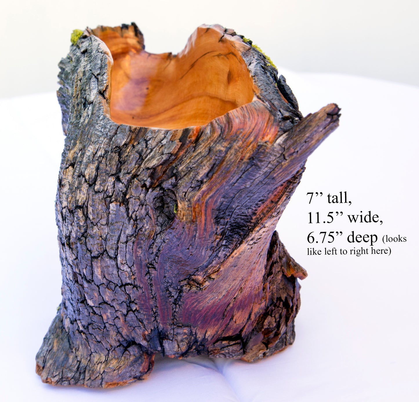Natural rustic asymmetric wood bowl sculpture, old growth Ponderosa pine, live edge bark, 7" tall, 11.5 long, 6.75 wide, decorative, 299-a