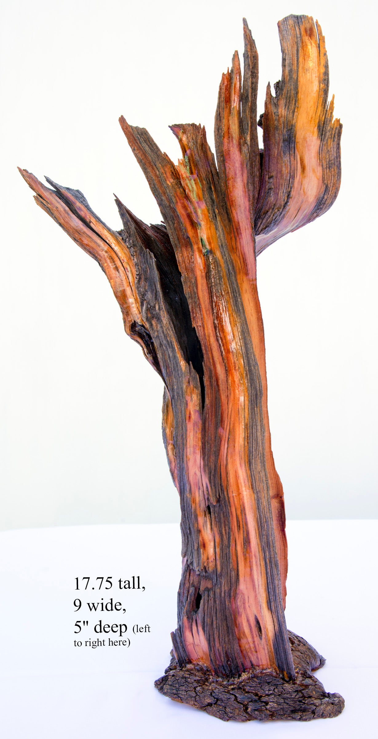 Wood vase, flared branching top, Wabi Sabi, brown maroon gold, asymmetric, upcycled, 18 inches tall x 9 x 5, 223-A