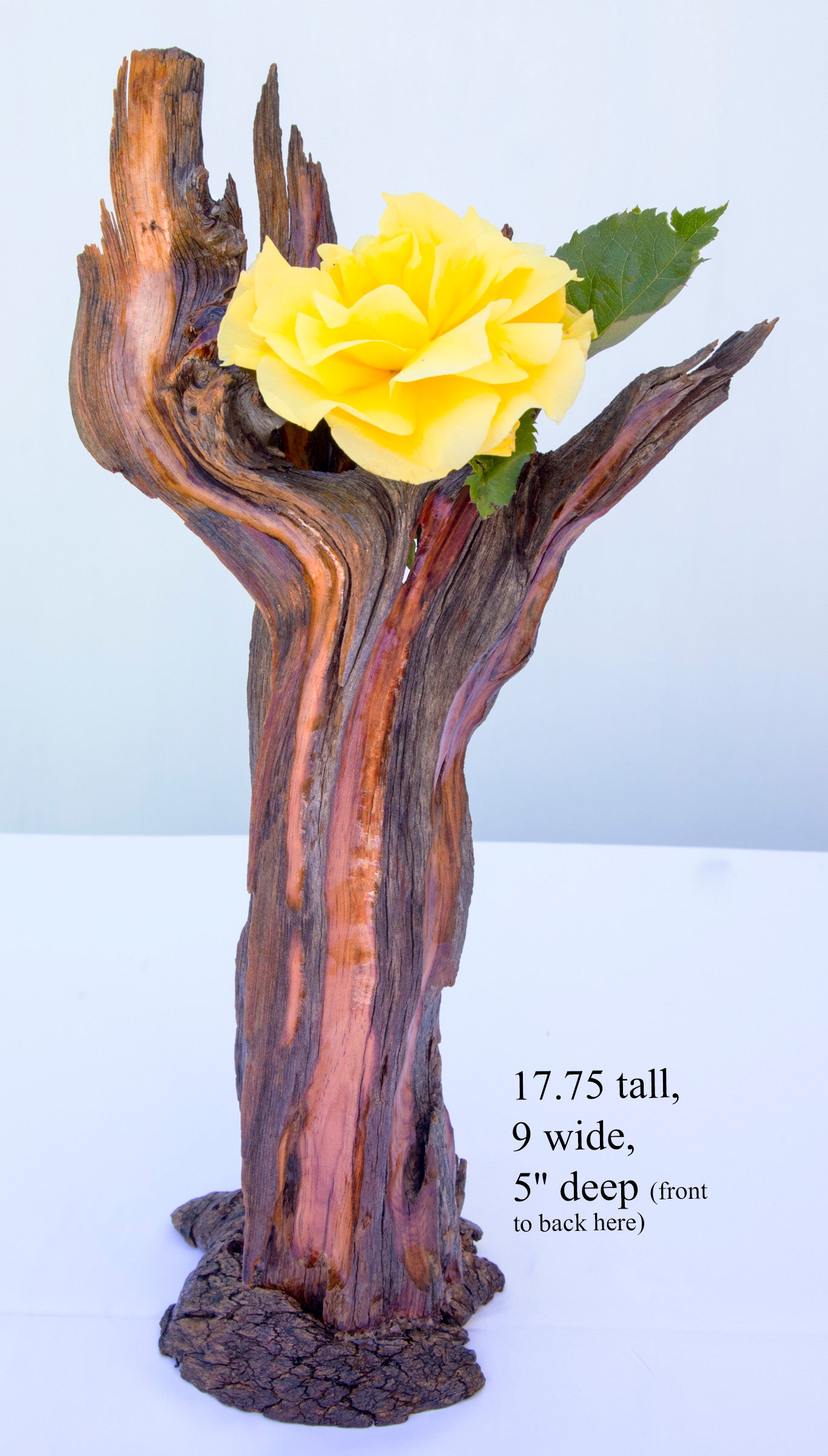 Wood vase, flared branching top, Wabi Sabi, brown maroon gold, asymmetric, upcycled, 18 inches tall x 9 x 5, 223-A
