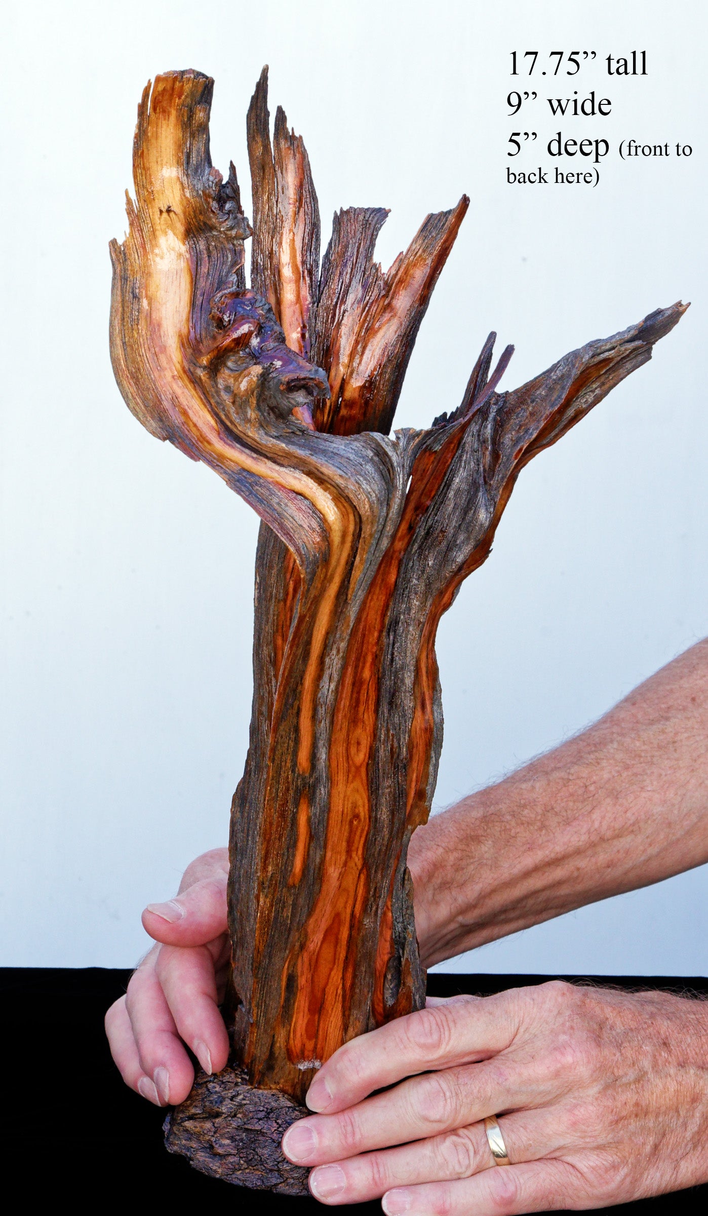 Wood vase, flared branching top, Wabi Sabi, brown maroon gold, asymmetric, upcycled, 18 inches tall x 9 x 5, 223-A