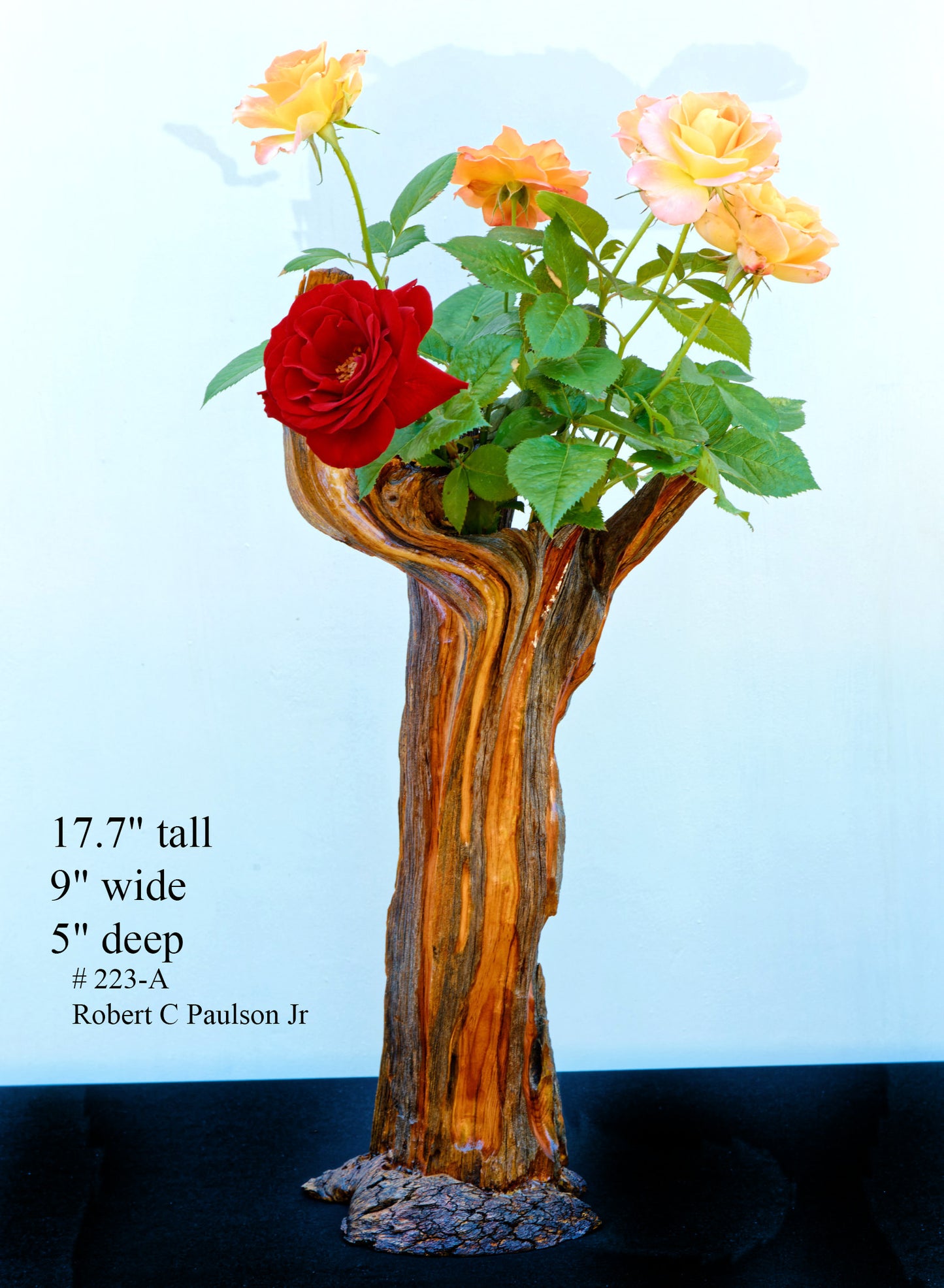 Wood vase, flared branching top, Wabi Sabi, brown maroon gold, asymmetric, upcycled, 18 inches tall x 9 x 5, 223-A