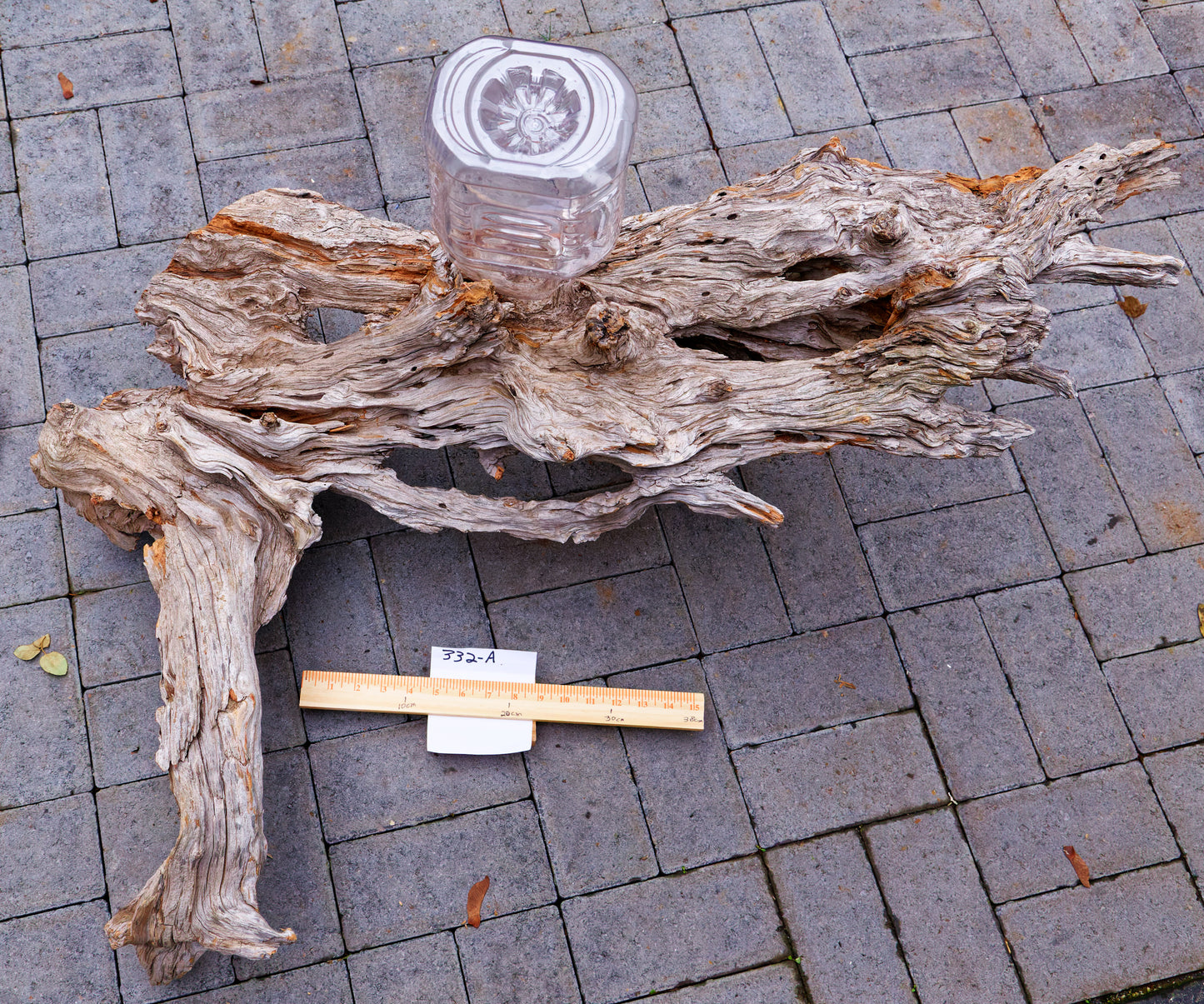 gorgeous floor & tabletop wood root sculpture, one-of-a-kind freeform wooden sculpture, 35 Tall x 17 x 14", 18 lbs, upcycled, Wabi Sabi, 332-A
