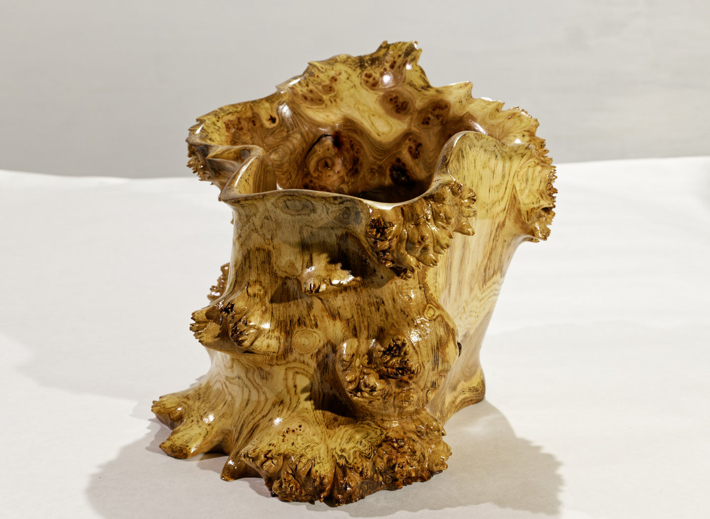 prickly bowl, irregular burl wood bowl sculpture golden brown, spines thorns, 12.5" tall x 12" wide x 10" deep, rich grain and burl patterns, 100% unique, 312-H