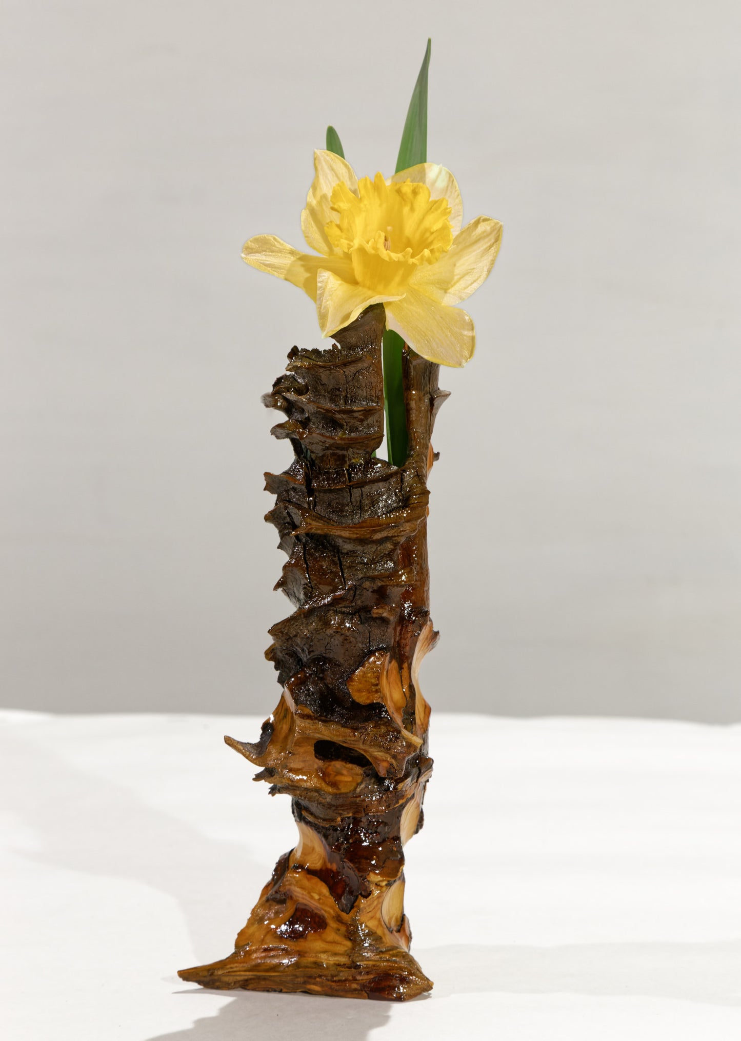 Rustic natural wood knot bud vase with plastic insert, 9.25” tall x 3.9, brown and golden yellow – handmade unique rustic wooden vase