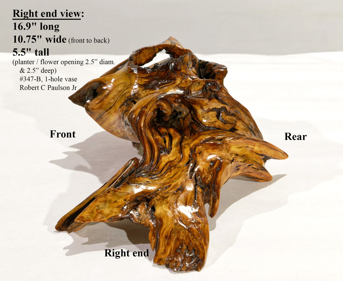 rustic tree root catchall bowl, planter brown orange gold, branches irregular shapes, Ponderosa pine 17 inch x 11 x 5.5 tall, 3 lbs, 347-B 
