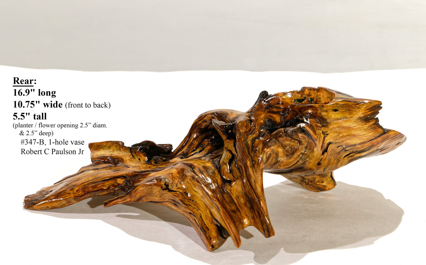 rustic tree root catchall bowl, planter brown orange gold, branches irregular shapes, Ponderosa pine 17 inch x 11 x 5.5 tall, 3 lbs, 347-B 