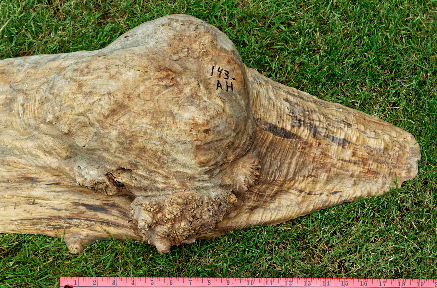 Wood bowl, large exotic bowl, walnut burl, figured fancy wood, designer bowl, best decor, curves, 8 inch tall, 10.5 wide, 25 long, 5 lbs, 9 oz, asymmetric