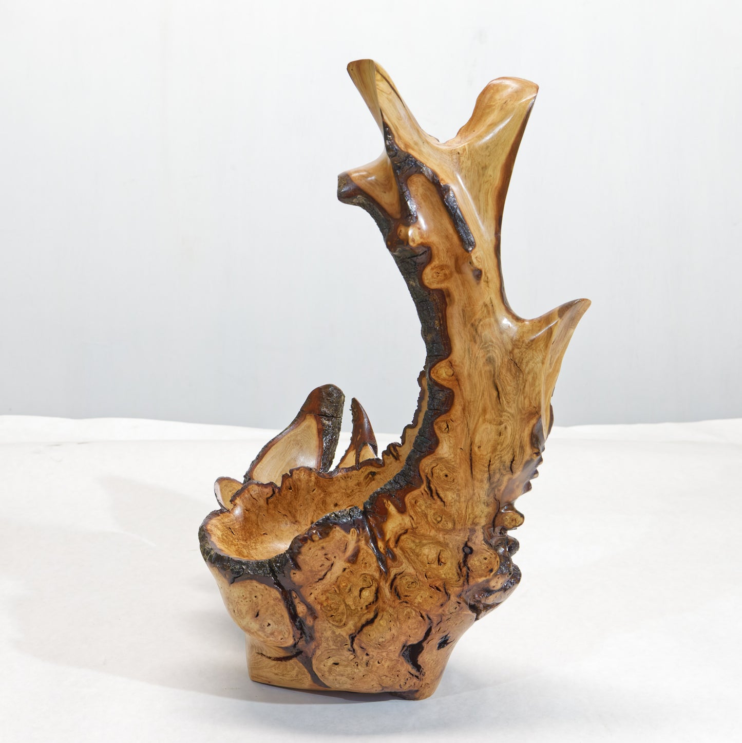 Rustic 2-part wood bowl catchall tabletop, exotic sculpture, asymmetric decor, willow live edge bark, 15" tall x 9 x 8, Wabi Sabi, 430-A