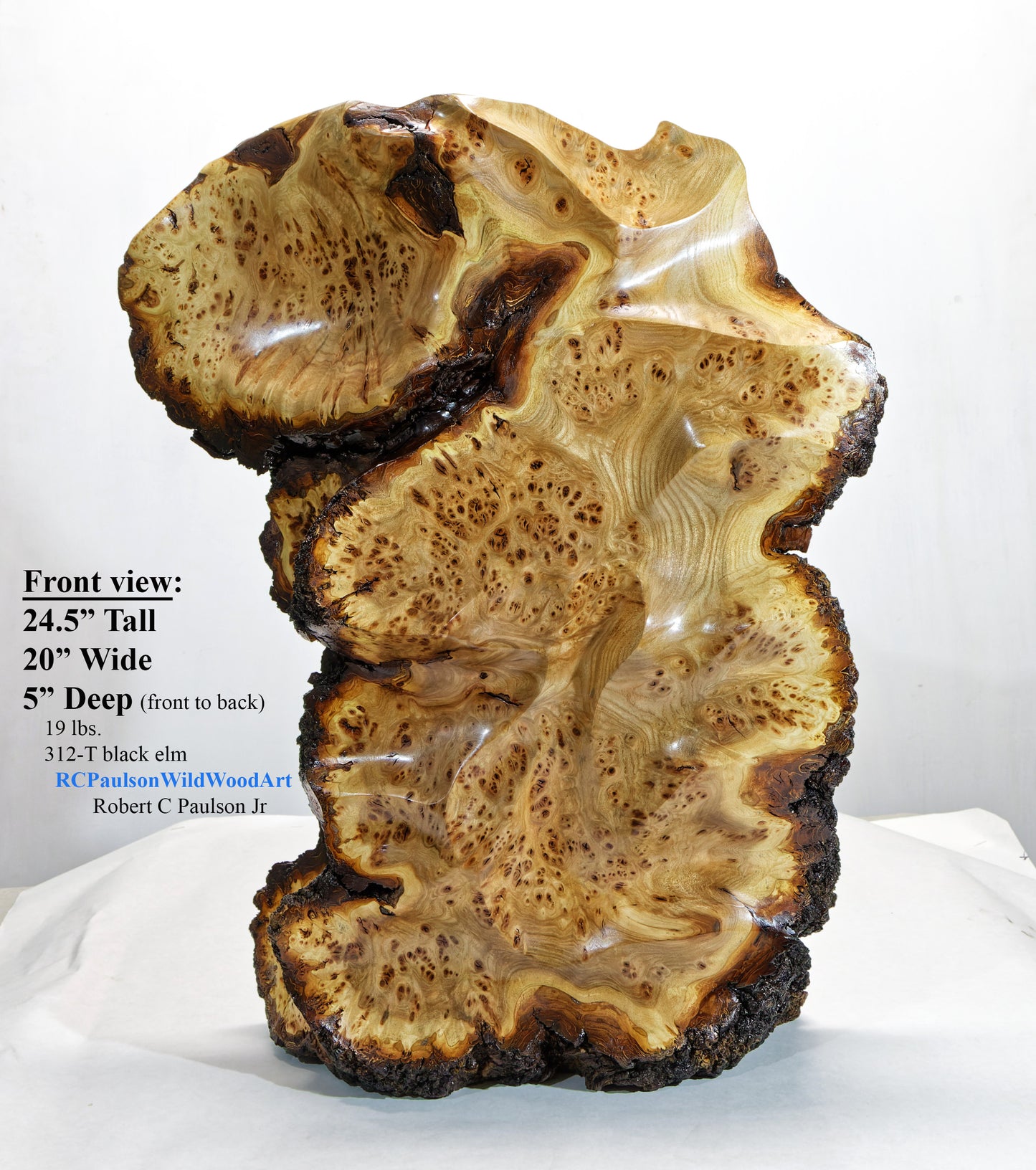 Colorful burl wood floor or tabletop sculpture, brown yellow maroon, live edge bark, 24.5 inch Tall x 5 D x 20 W, rich grain figuring, 312-T