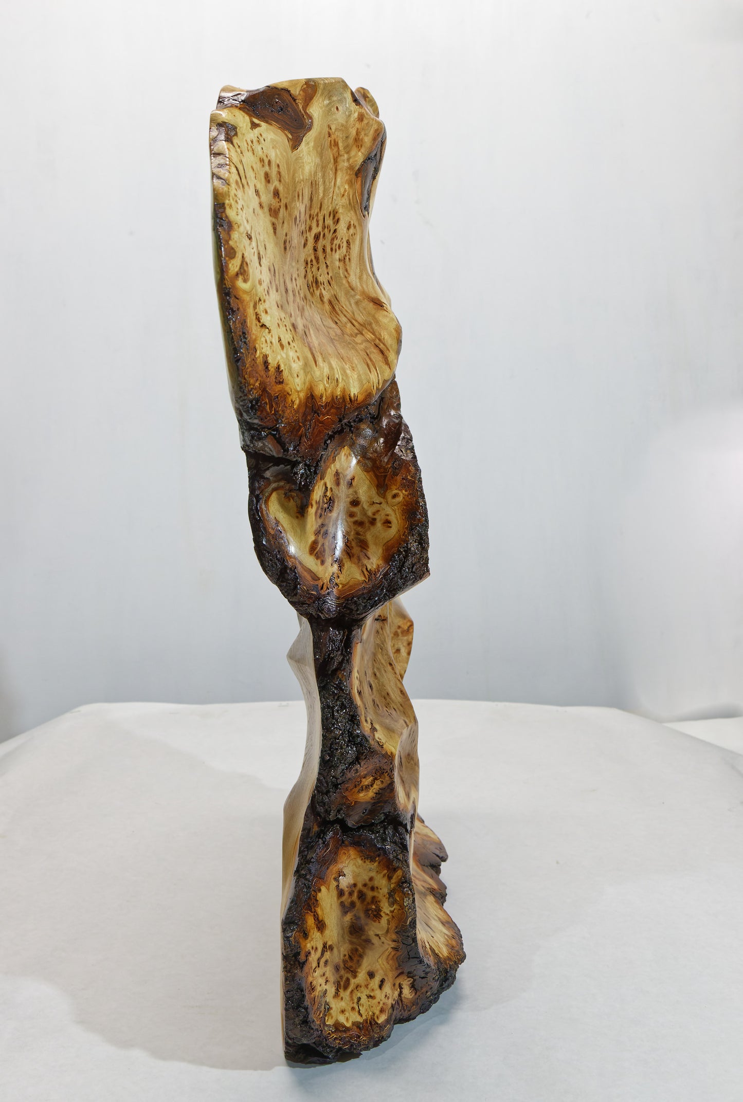 Colorful burl wood floor or tabletop sculpture, brown yellow maroon, live edge bark, 24.5 inch Tall x 5 D x 20 W, rich grain figuring, 312-T