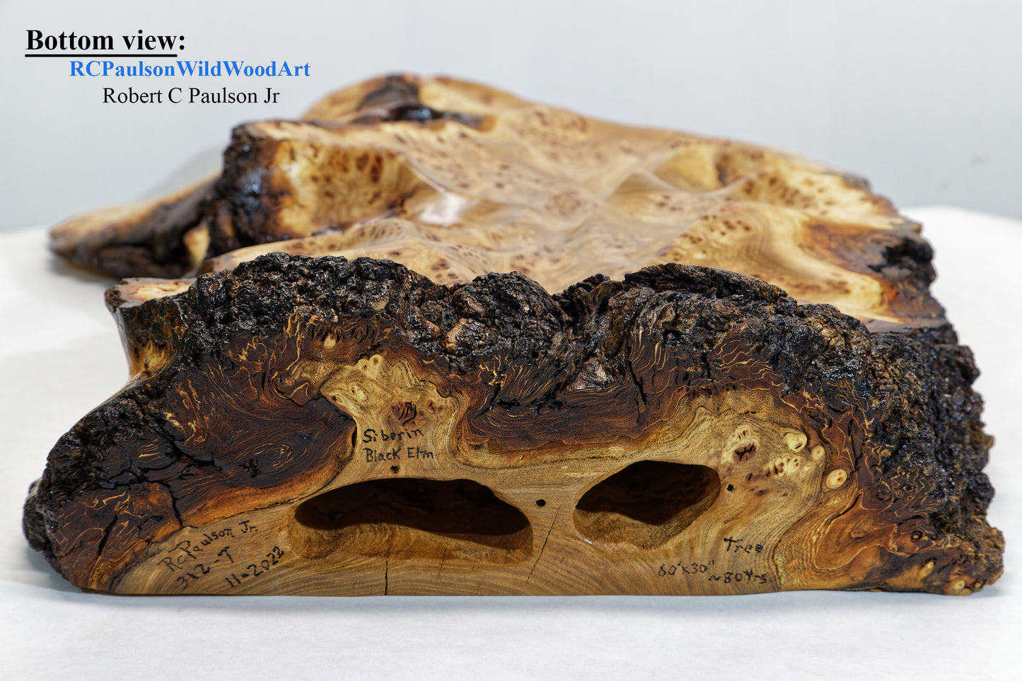 Colorful burl wood floor or tabletop sculpture, brown yellow maroon, live edge bark, 24.5 inch Tall x 5 D x 20 W, rich grain figuring, 312-T