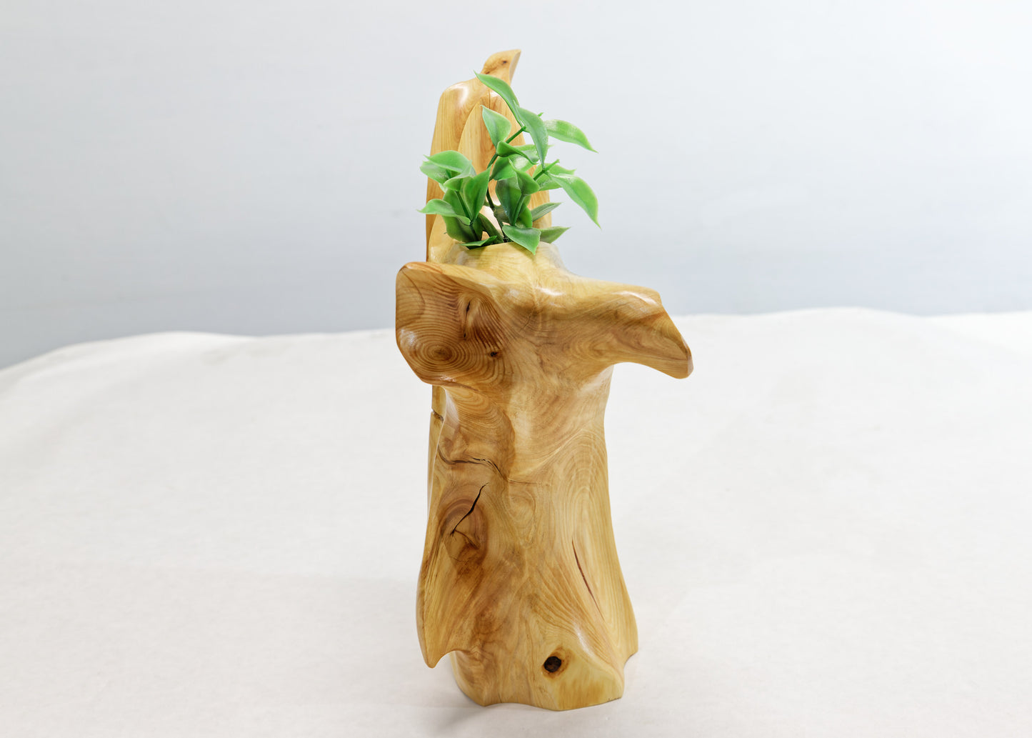 Winged & grooved wood bud vase sculpture golden tan, 10 inches tall x 7.5 x 4, 1 lb, 7.8 oz, rich grain patterns, 100% unique, 363-A