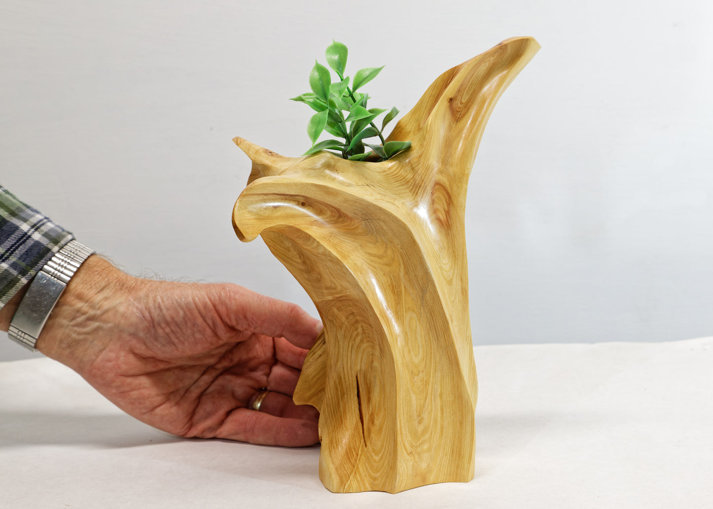 Winged & grooved wood bud vase sculpture golden tan, 10 inches tall x 7.5 x 4, 1 lb, 7.8 oz, rich grain patterns, 100% unique, 363-A