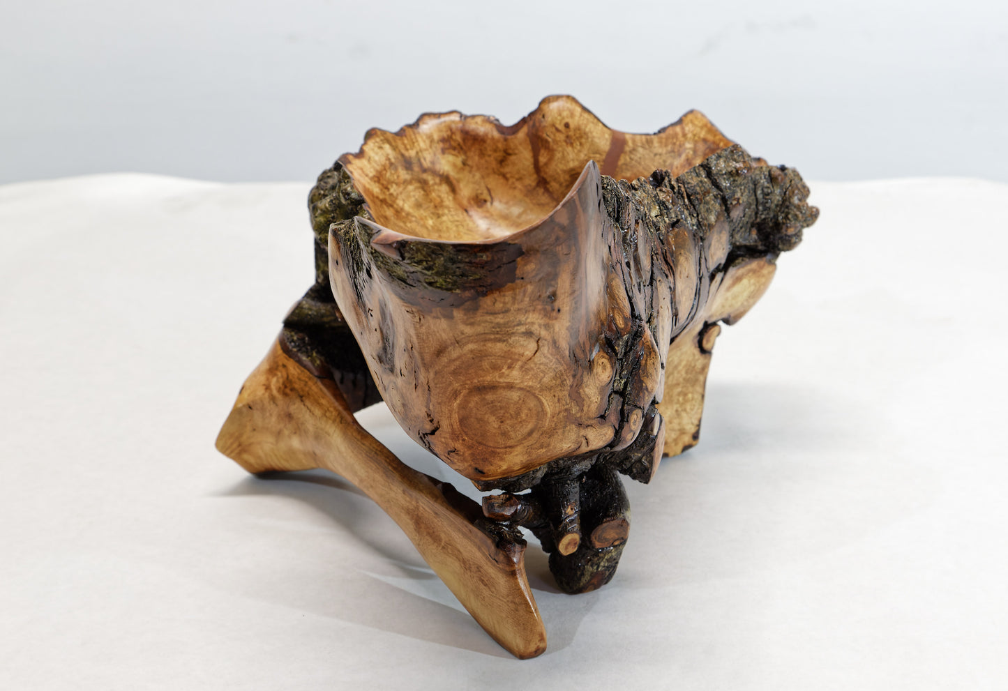 Rustic decorative wood bowl catchall tabletop sculpture, asymmetric decor, willow tree, live edge bark, 12" long x 10 x 8, Wabi Sabi, 432-A