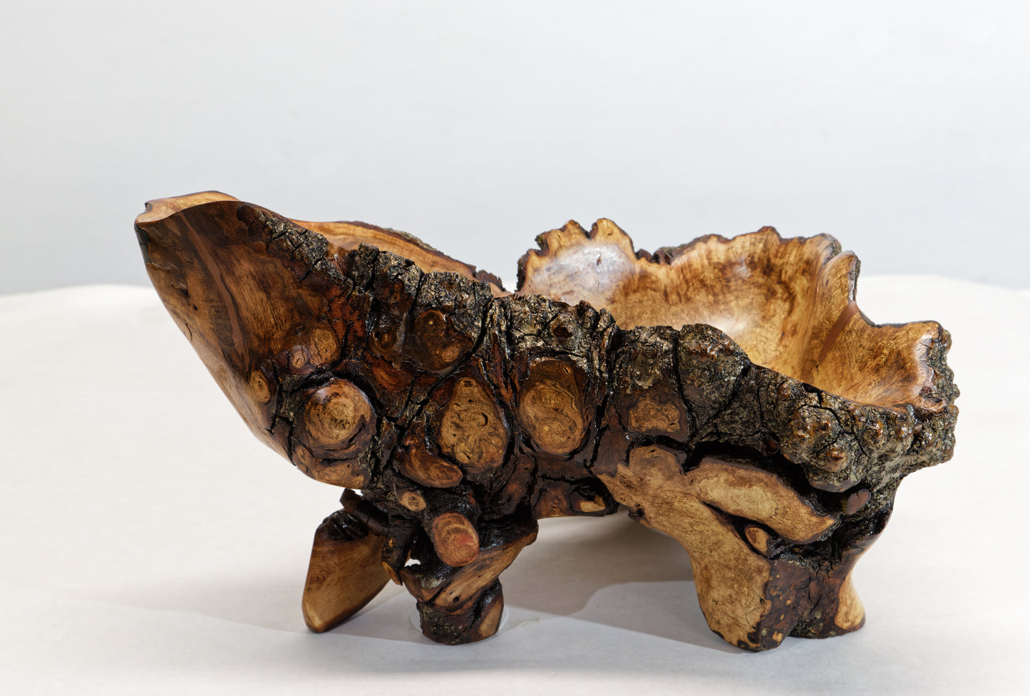 Rustic decorative wood bowl catchall tabletop sculpture, asymmetric decor, willow tree, live edge bark, 12" long x 10 x 8, Wabi Sabi, 432-A