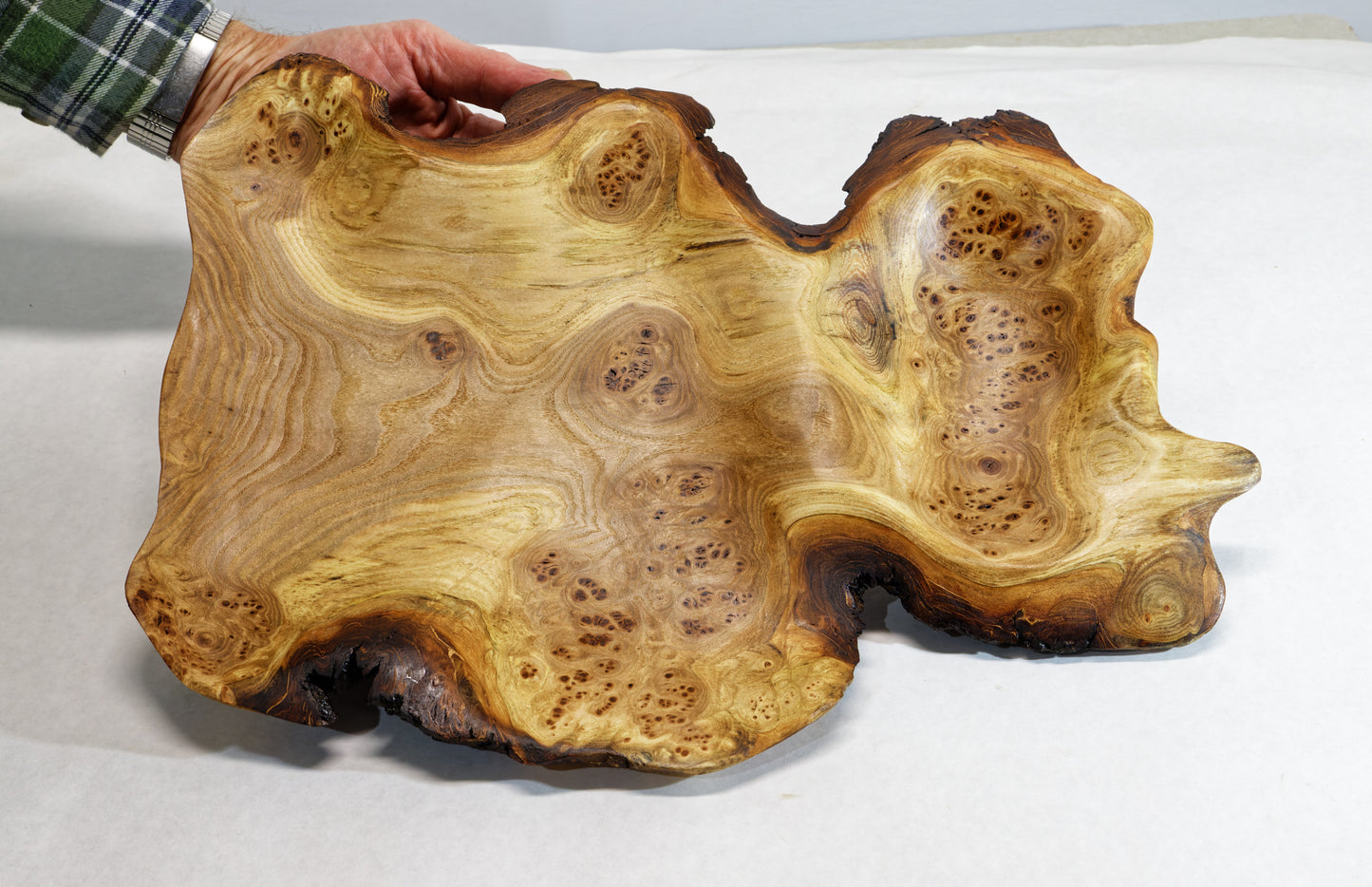 wood platter, wall hanging, tabletop, Charcuterie Cheese Board, Serving platter, burl live edge, 2" tall x 17 x 12", 2 lbs, Wabi Sabi, 312-L