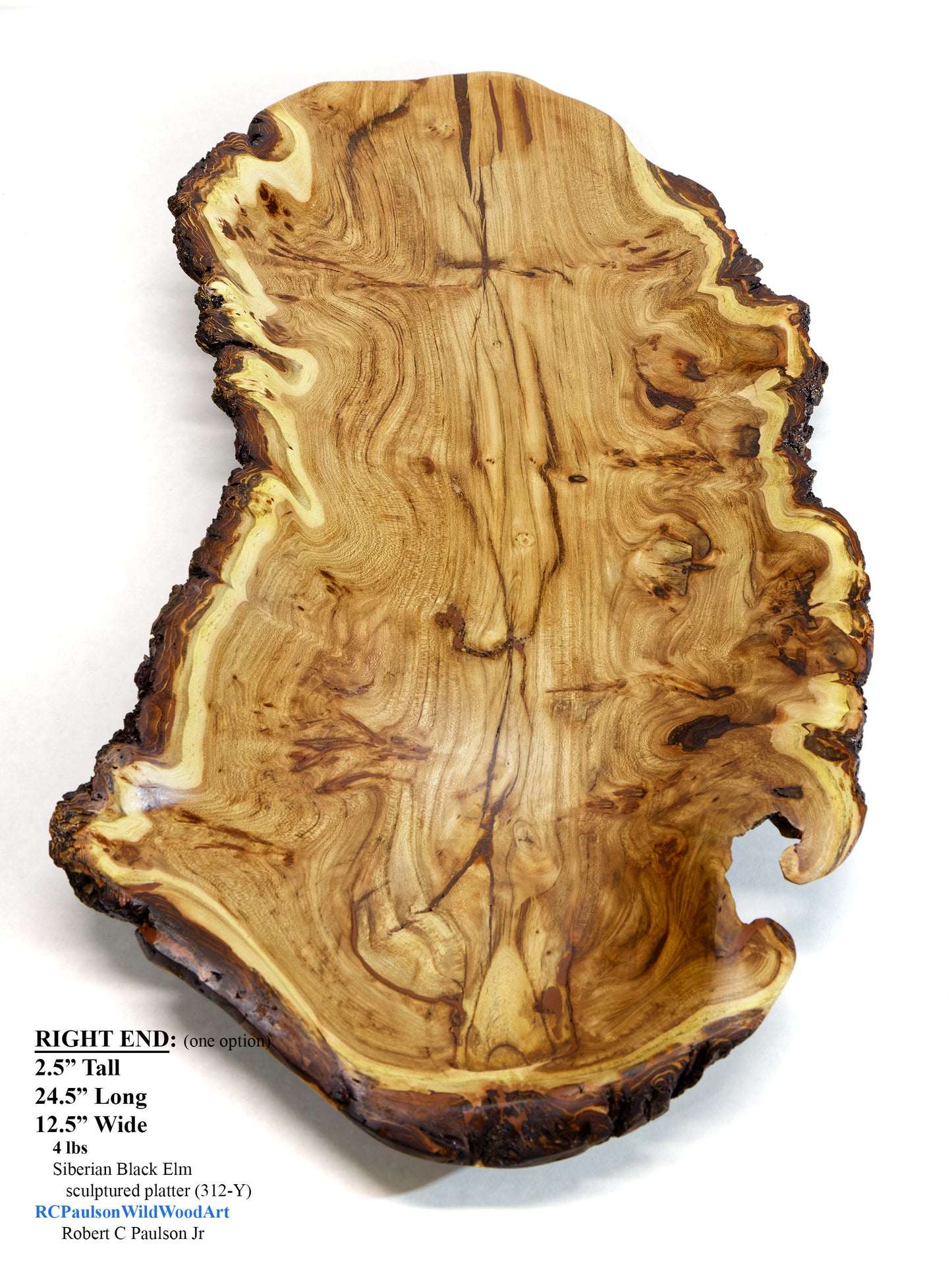 wood platter, wall hanging, tabletop sculpture, exotic burl, live edge bark, 2.5" tall x 24.5 long x 12.5 wide, 4 lbs, Wabi Sabi, 312-Y