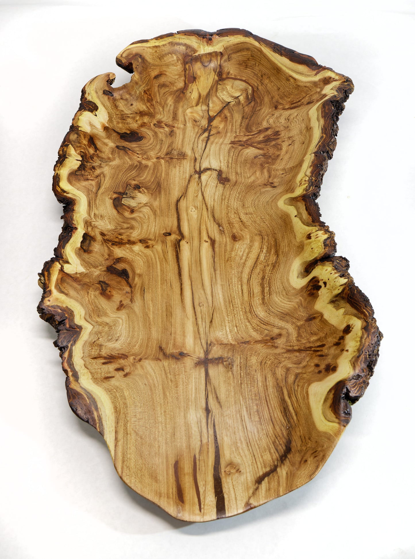 wood platter, wall hanging, tabletop sculpture, exotic burl, live edge bark, 2.5" tall x 24.5 long x 12.5 wide, 4 lbs, Wabi Sabi, 312-Y