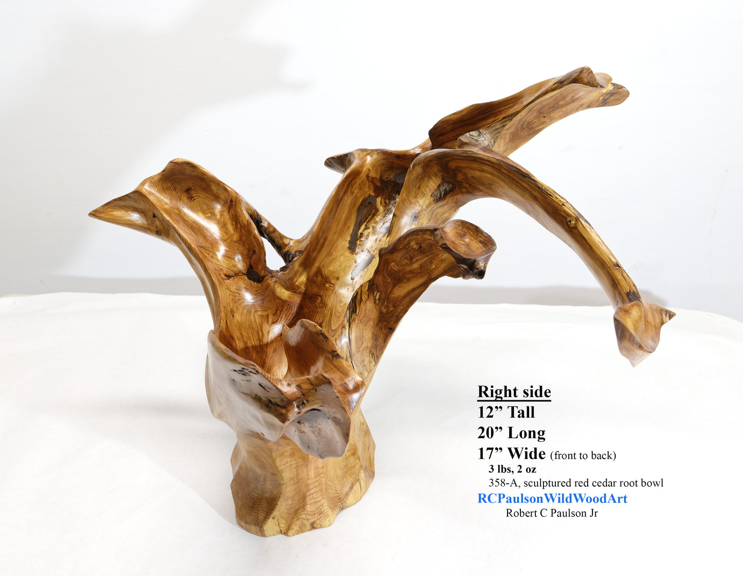 Exotic branching cedar bowl, unique twisted fancy wood, rustic decorative designer bowl, curves, 12 inch tall, 17 wide, 20 long, 3 lbs, 358-A