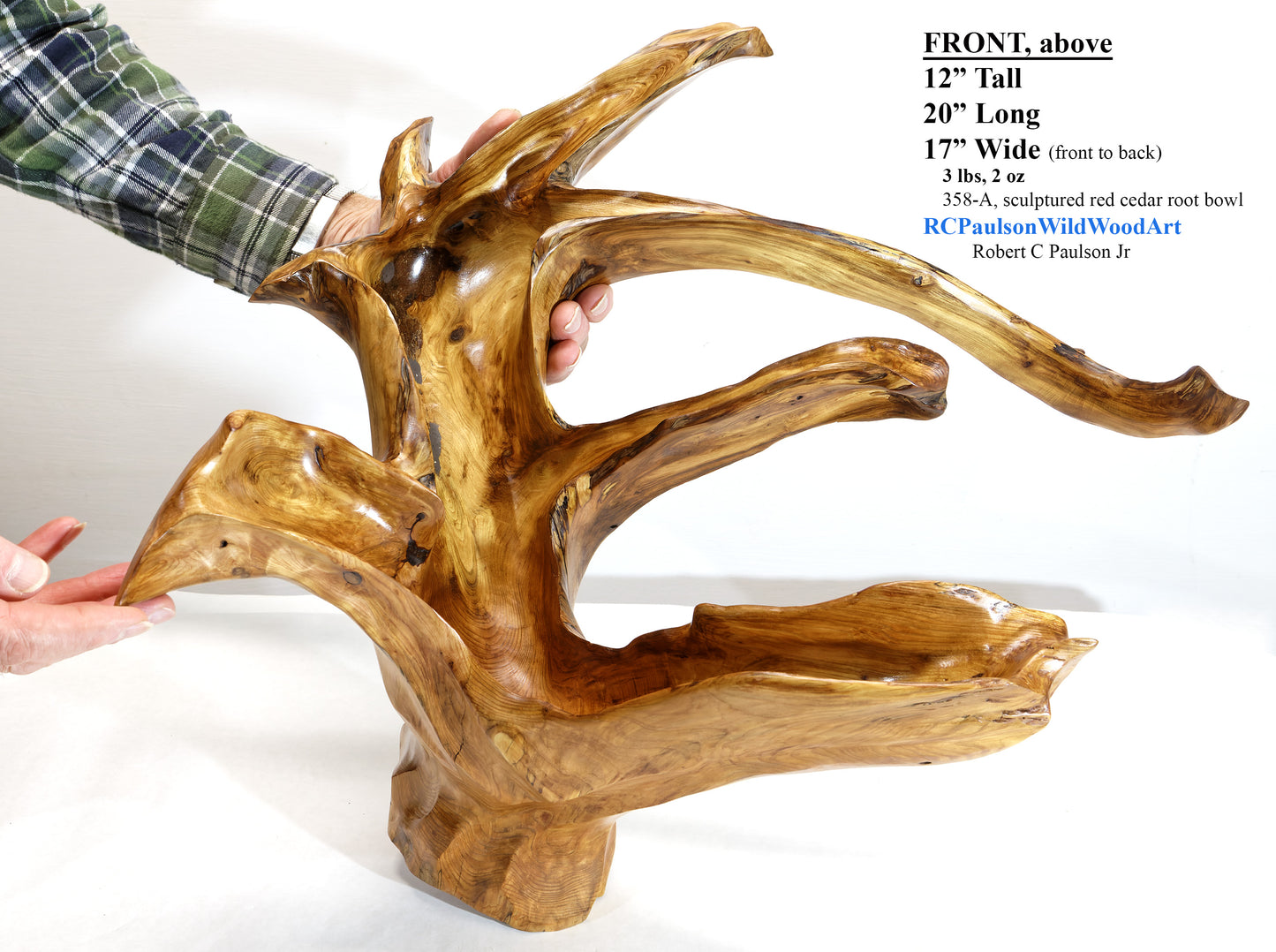 Exotic branching cedar bowl, unique twisted fancy wood, rustic decorative designer bowl, curves, 12 inch tall, 17 wide, 20 long, 3 lbs, 358-A