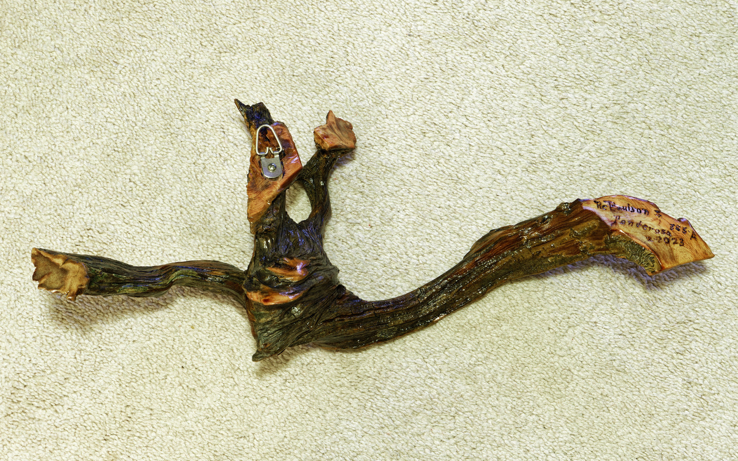 Decorative 3-D natural wood wall hanging, 24 inch x 12 x 6, asymmetric, one-of-a-kind sculptured wall decor, Ponderosa pine roots, 383-A