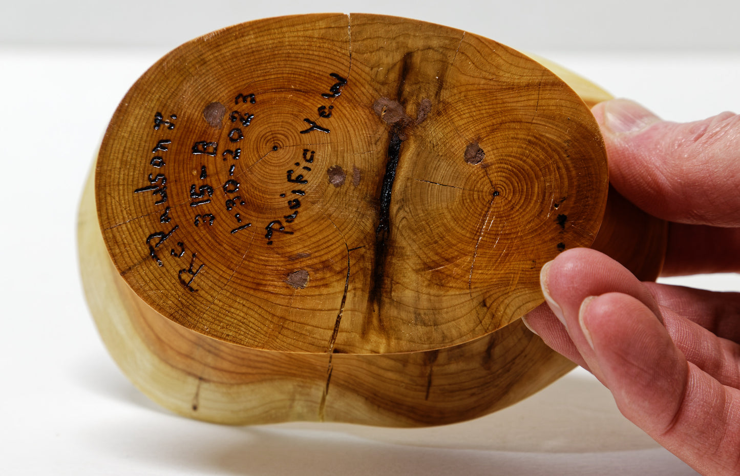 Mini unique wooden bowl sculpture, Pacific Yew, colorful, ring dishes, 5.2 in long x 3.6 wide x 1.8 tall, 4.6 oz, brown tan yellow, 315-B