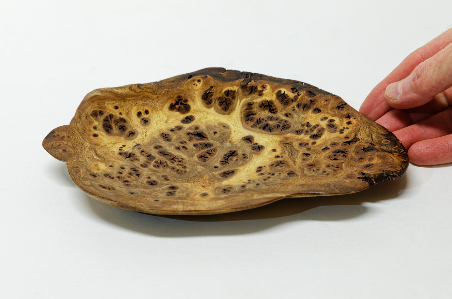 asymmetric wood platter, wall hanging, tabletop, Charcuterie, Cheese Serving Board, exotic, 312-ZG2 burl, 9.25" wide x 6.5 x 0.75 Tall, Wabi Sabi
