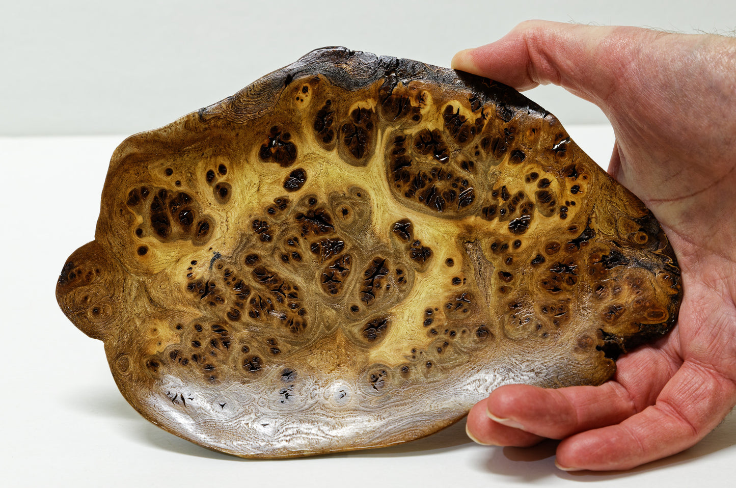asymmetric wood platter, wall hanging, tabletop, Charcuterie, Cheese Serving Board, exotic, 312-ZG2 burl, 9.25" wide x 6.5 x 0.75 Tall, Wabi Sabi