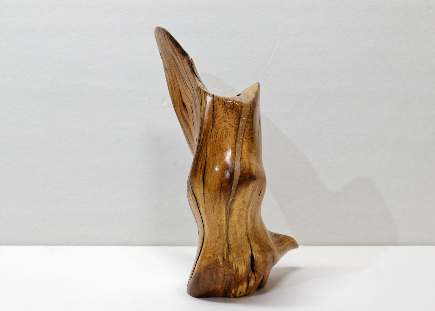Arched bud vase, Ponderosa pine, rustic smooth arced, brown, tapered, asymmetric, decorative wood, 9 inches tall x 8 x 4.75, Wabi Sabi, 999-E