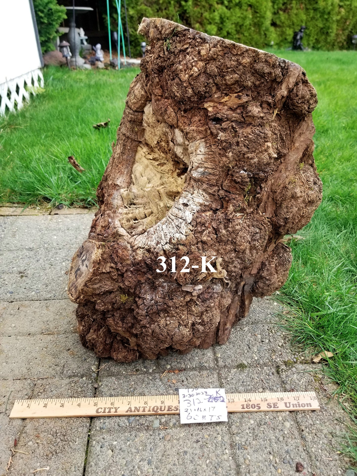 exotic Siberian black elm wood bowl with many burl grain patterns and a free flowing shape, live edge, 8.25 inches Tall x 14 long x 8.5, 3.0 lbs, 312-K