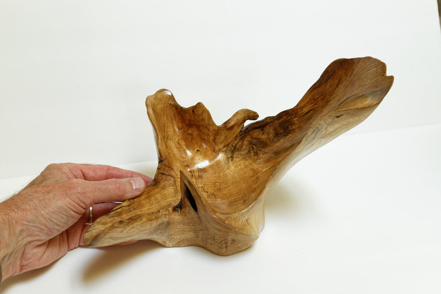 Natural wood bowl, 12 inch x 8 x 8, asymmetric, bizarre unique wood bowl, one-of-a-kind sculptured bowl, decorative, useful, 267-B,