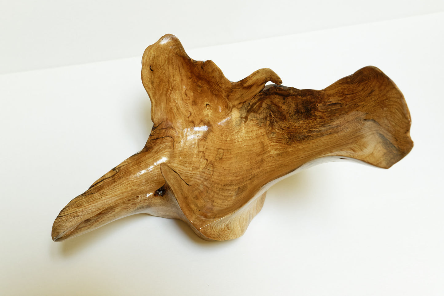 Natural wood bowl, 12 inch x 8 x 8, asymmetric, bizarre unique wood bowl, one-of-a-kind sculptured bowl, decorative, useful, 267-B,