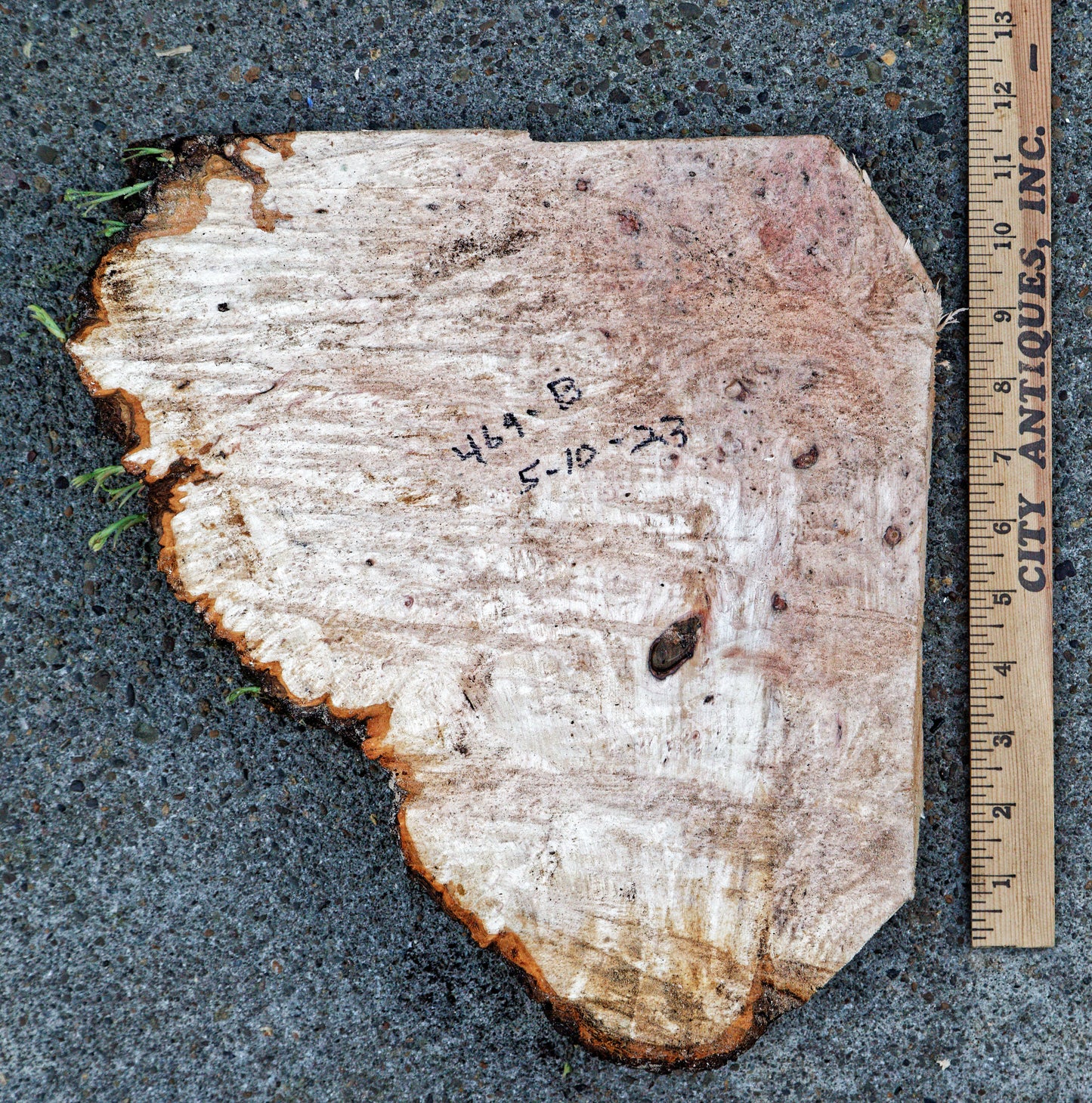 Bigleaf maple heart shaped bowl, live edge, catchall, 2 inches Tall x 12.5 x 9.5 , one of a kind, asymmetric, sculptured wood bowl, 469-B