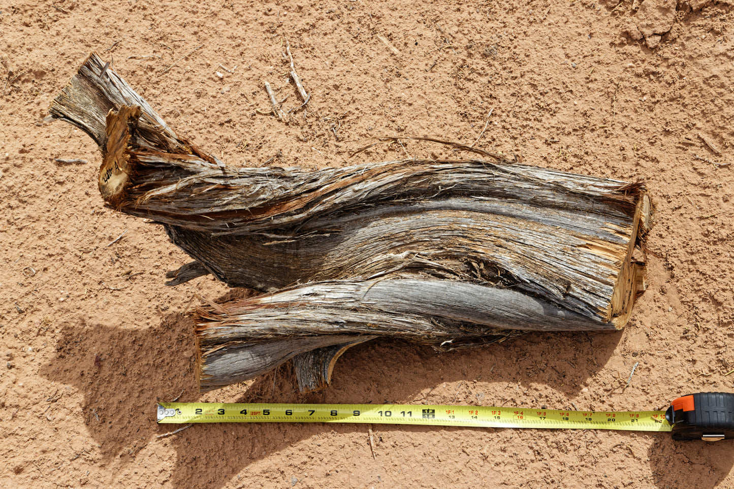 Irregular tabletop desktop wood sculpture, colorful grain, exotic graceful lines, crafted from fallen old growth juniper tree, 480-A