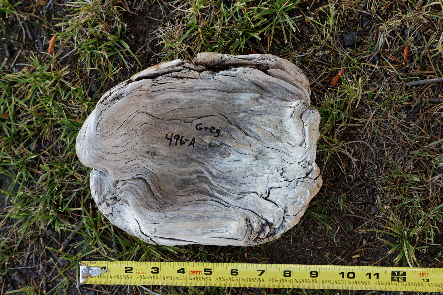 ancient Ponderosa catchall, Wood, 3.5 tall x 9 x 7'', 1.03 lbs, Wabi Sabi Wasabi wabi-sabi one-of-a-kind, asymmetric, upcycled, 496-A
