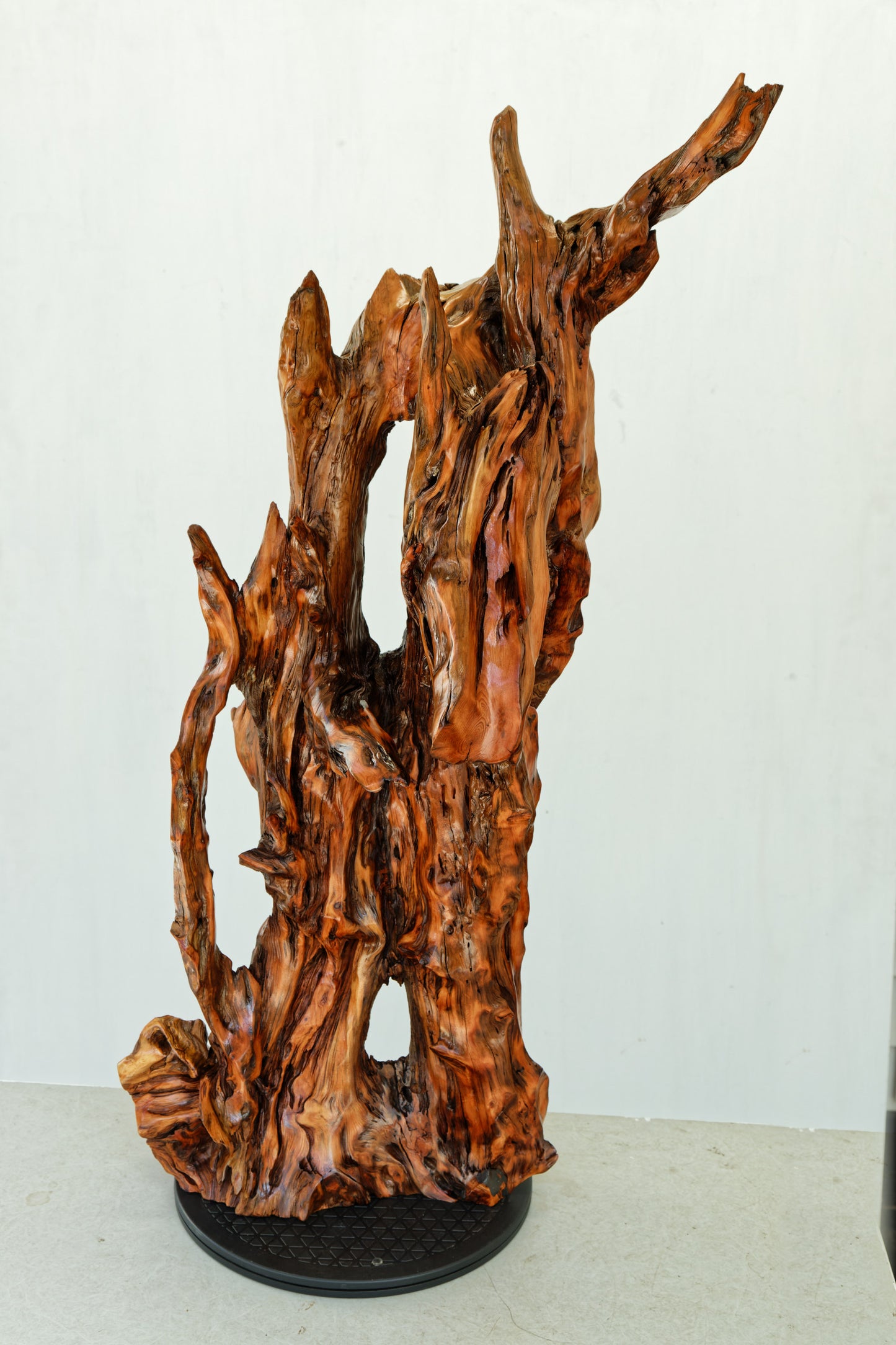 gorgeous floor & tabletop wood root sculpture, one-of-a-kind freeform wooden sculpture, 35 Tall x 17 x 14", 18 lbs, upcycled, Wabi Sabi, 332-A