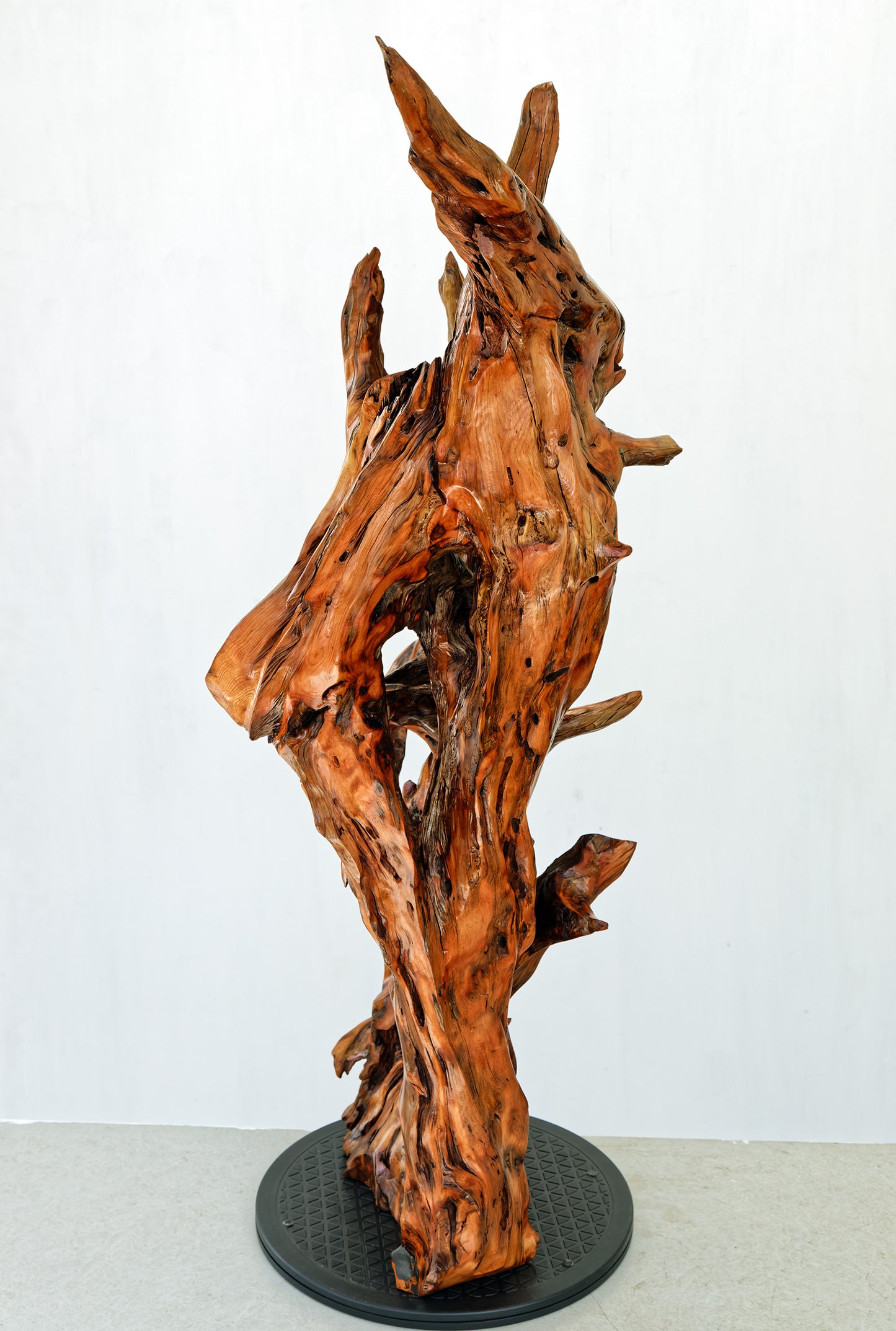 gorgeous floor & tabletop wood root sculpture, one-of-a-kind freeform wooden sculpture, 35 Tall x 17 x 14", 18 lbs, upcycled, Wabi Sabi, 332-A