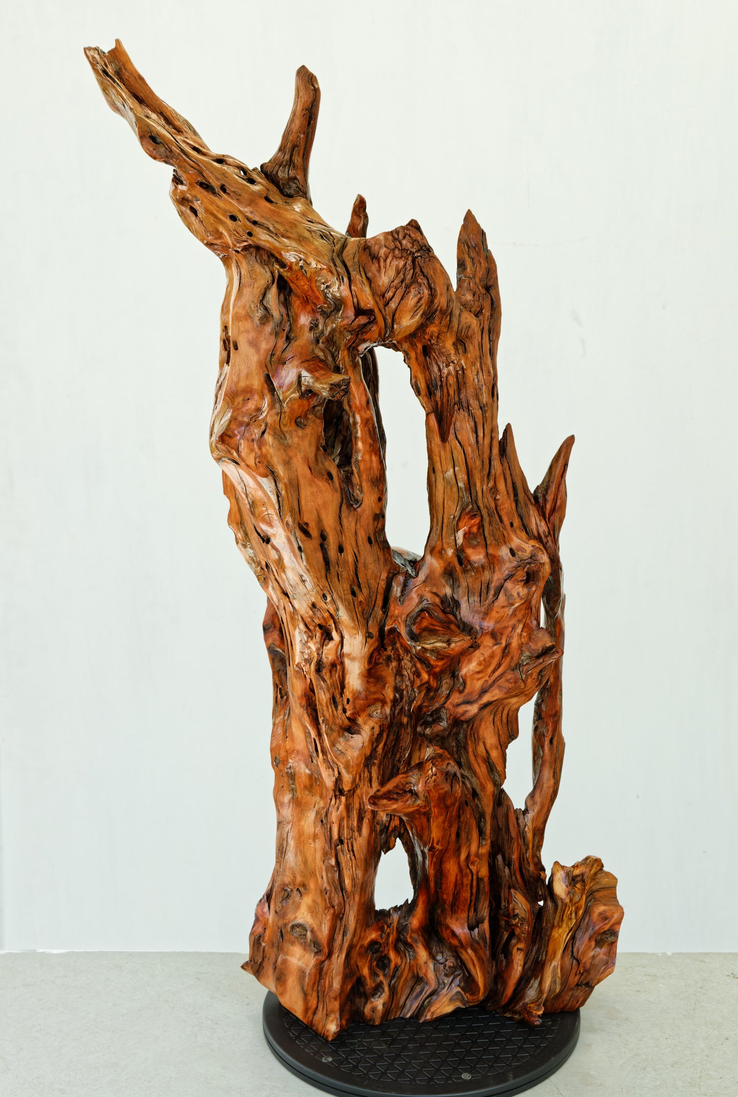 gorgeous floor & tabletop wood root sculpture, one-of-a-kind freeform wooden sculpture, 35 Tall x 17 x 14", 18 lbs, upcycled, Wabi Sabi, 332-A