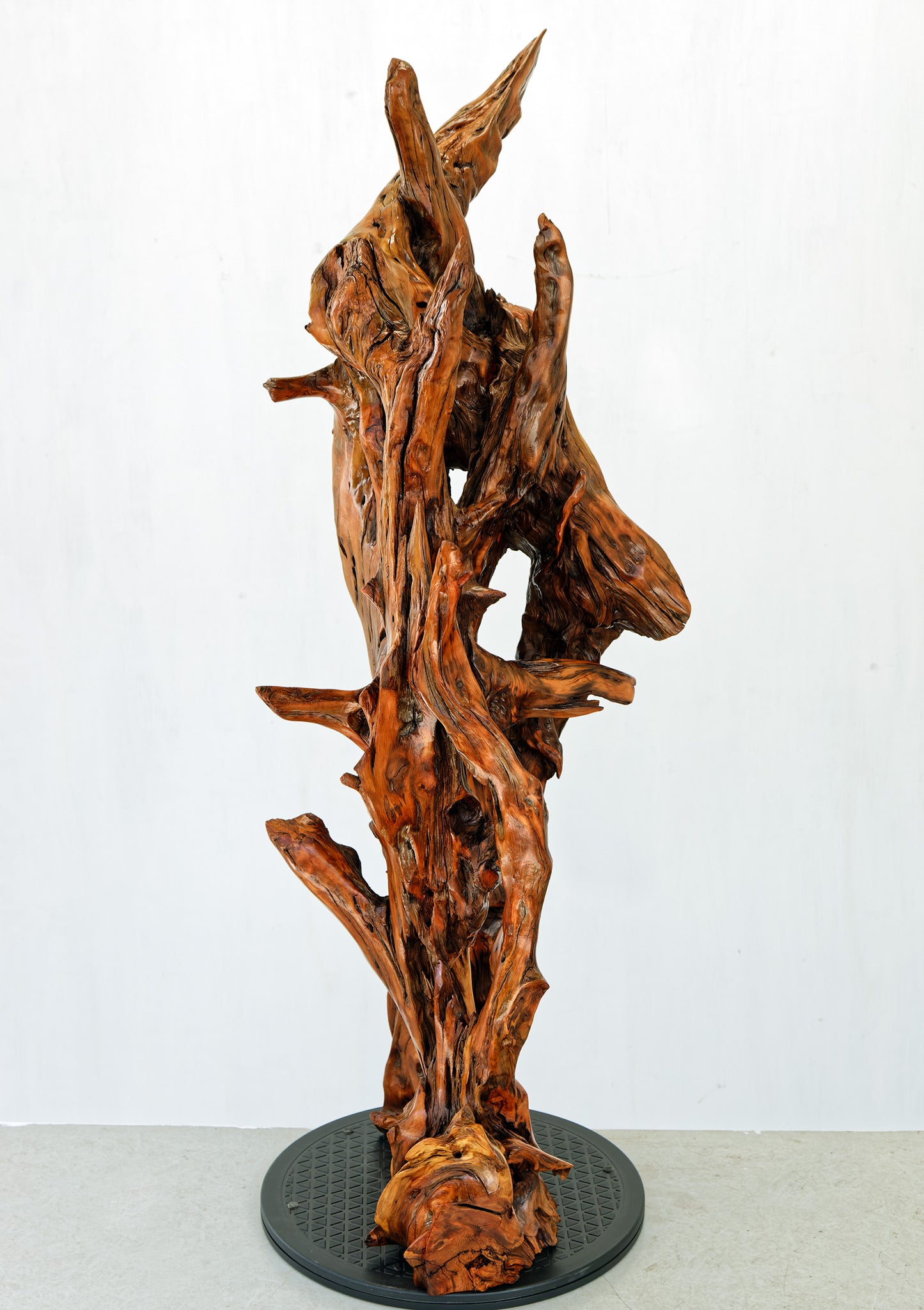 gorgeous floor & tabletop wood root sculpture, one-of-a-kind freeform wooden sculpture, 35 Tall x 17 x 14", 18 lbs, upcycled, Wabi Sabi, 332-A