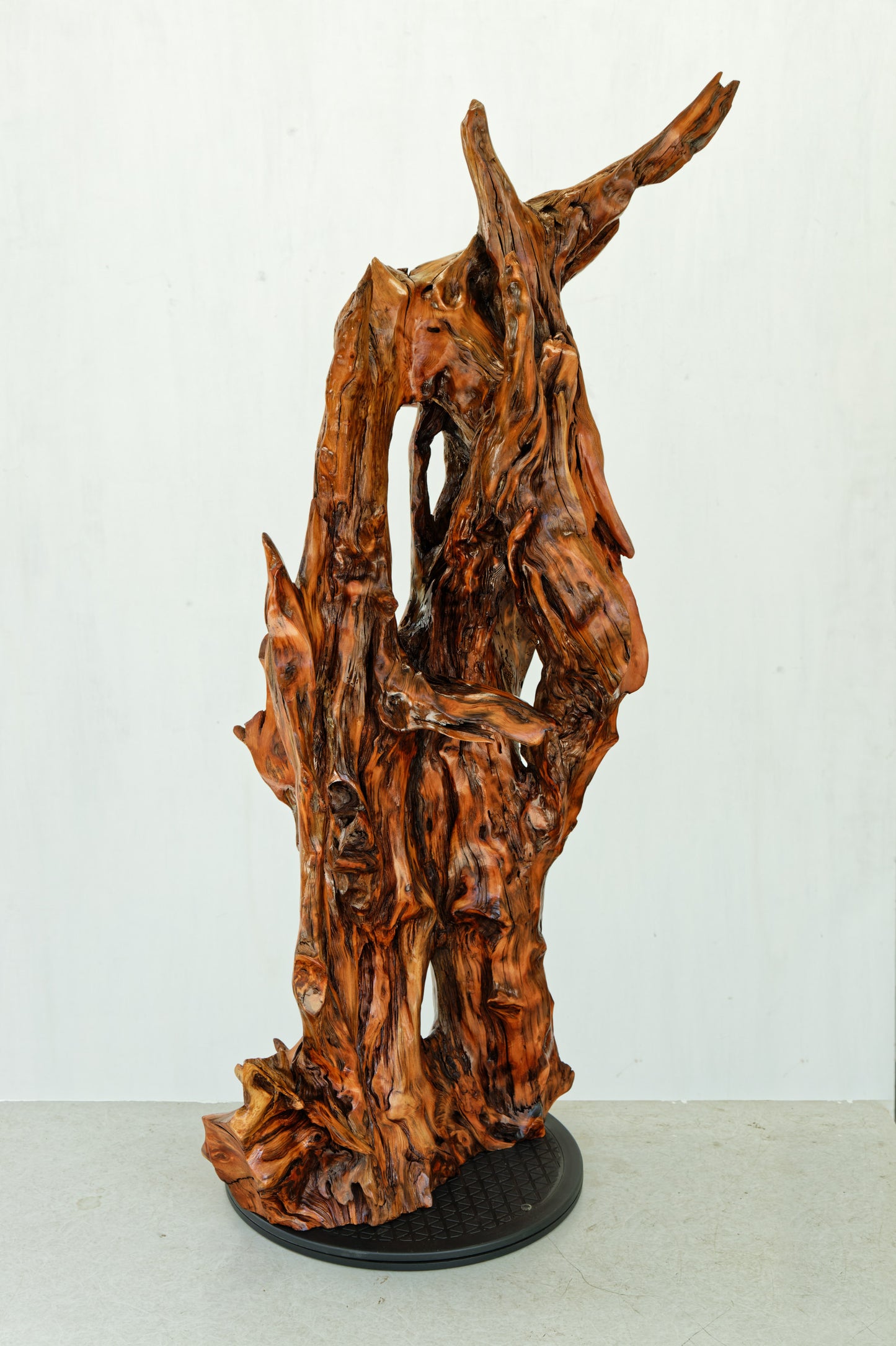 gorgeous floor & tabletop wood root sculpture, one-of-a-kind freeform wooden sculpture, 35 Tall x 17 x 14", 18 lbs, upcycled, Wabi Sabi, 332-A