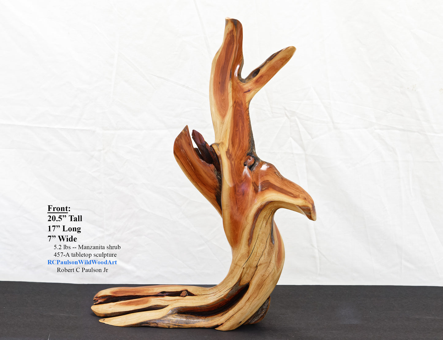 Manzanita wood tabletop sculpture, twisted root sculpture, irregular live edge sculpture, 20.5 inches Tall x 17 x 7, one of a kind, 457-A