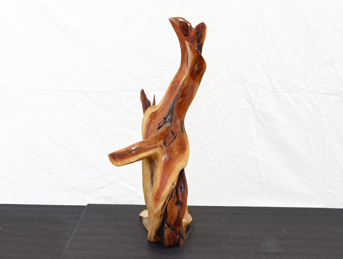 Manzanita wood tabletop sculpture, twisted root sculpture, irregular live edge sculpture, 20.5 inches Tall x 17 x 7, one of a kind, 457-A