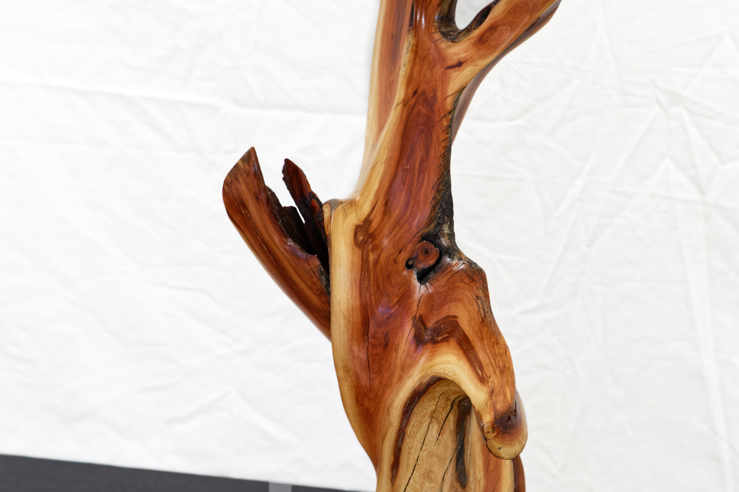 Manzanita wood tabletop sculpture, twisted root sculpture, irregular live edge sculpture, 20.5 inches Tall x 17 x 7, one of a kind, 457-A