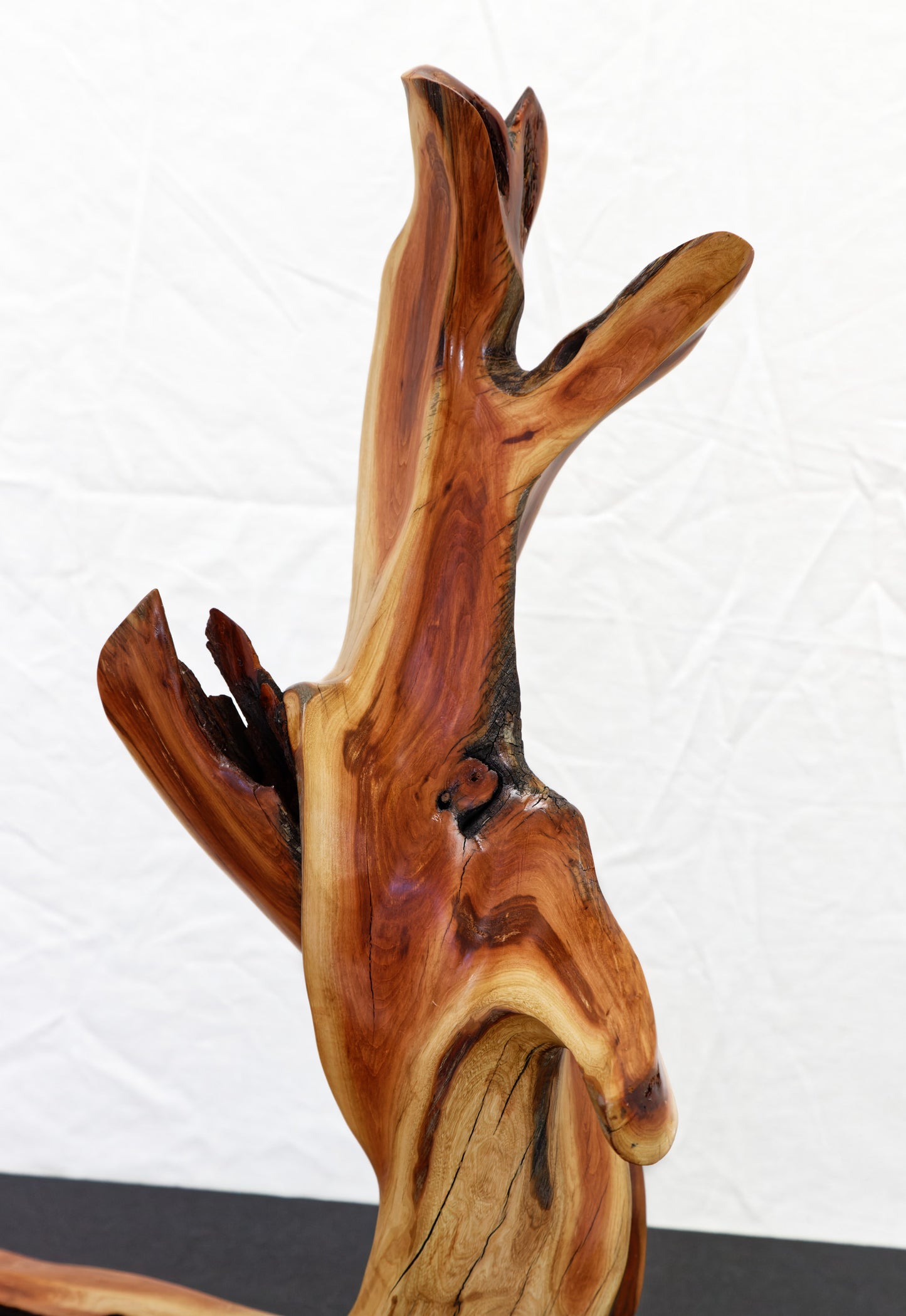 Manzanita wood tabletop sculpture, twisted root sculpture, irregular live edge sculpture, 20.5 inches Tall x 17 x 7, one of a kind, 457-A